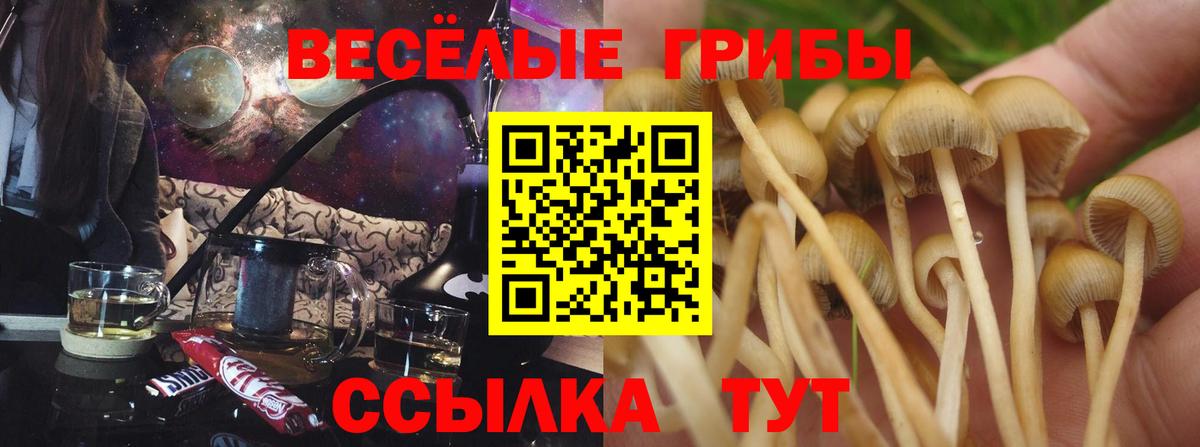 Галлюциногенные грибы GOLDEN TEACHER  Вход с VPN  Сердобск  Псилоцибиновые грибы Magic Shrooms 